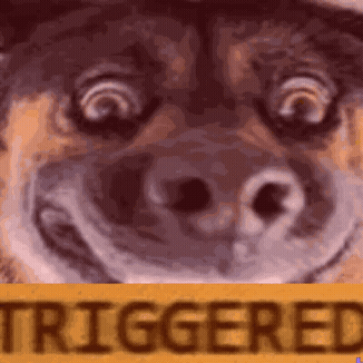A Close Up Of A Dog 'S Face Behind A Yellow Sign That Says " Triggered " GIF