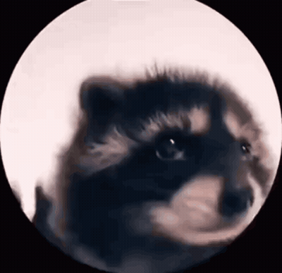A Close Up Of A Dog 'S Face In A Circle On A White Background . GIF