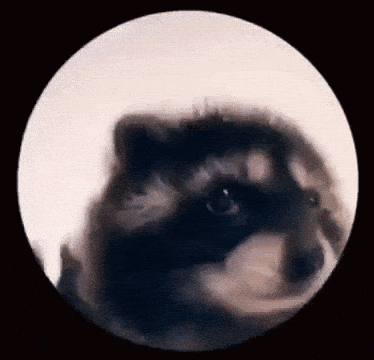 A Close Up Of A Dog 'S Face In A Circle With A Black Background GIF