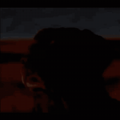 A Close Up Of A Dog 'S Face In A Desert GIF