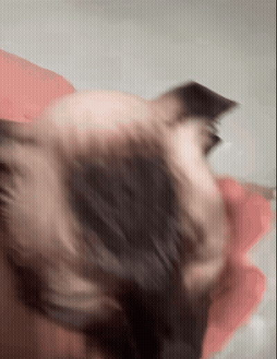 A Close Up Of A Dog 'S Face With A Pink Towel In The Background GIF