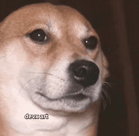 Dog Face Close Up With Devxart Text GIF