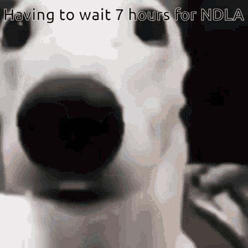 A Close Up Of A Dog 'S Face With The Caption Having To Wait 7 Hours For Ndla GIF