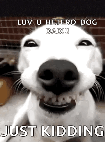 A Close Up Of A Dog 'S Face With The Words `` Luv U Hetero Dog Dad ! '' GIF