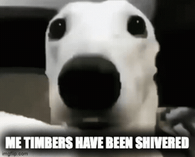 A Close Up Of A Dog 'S Face With The Words `` Me Timbers Have Been Shivered '' . GIF