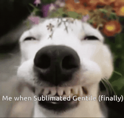 A Close Up Of A Dog 'S Face With The Words " Me When Sublimated Gentle ( Finally ) " Below It GIF