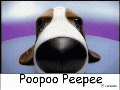 A Close Up Of A Dog 'S Face With The Words Poopoo Peepee Below It . GIF