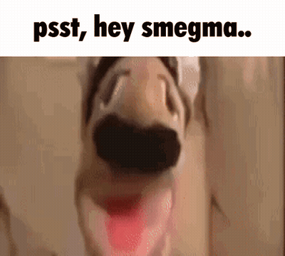 A Close Up Of A Dog 'S Face With The Words Psst Hey Smegma Written Below It GIF