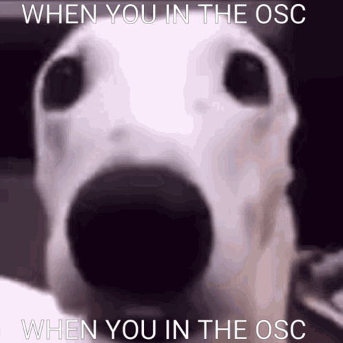 A Close Up Of A Dog 'S Face With The Words When You In The Osc Below It GIF