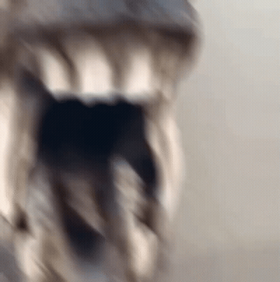 A Close Up Of A Dog 'S Mouth With Its Mouth Open GIF