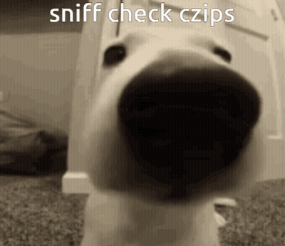 A Close Up Of A Dog 'S Nose With The Words Sniff Check Czips Written Above It GIF