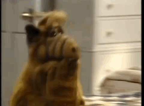 A Close Up Of A Dog Sitting On A Bed With Its Head On Its Paws . GIF