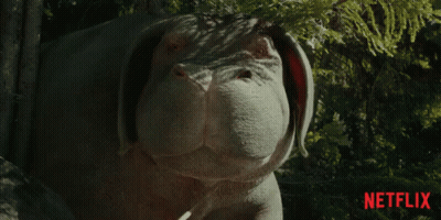 A Close Up Of A Dog With A Netflix Logo In The Corner GIF