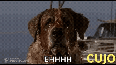 A Close Up Of A Dog With Blood Coming Out Of Its Nose . GIF