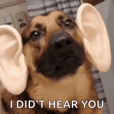 A Close Up Of A Dog With Fake Ears And The Words `` I Did 'T Hear You '' GIF