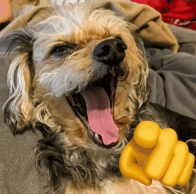 A Close Up Of A Dog With Its Mouth Open And A Yellow Finger Pointing At It GIF