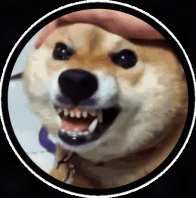 A Close Up Of A Dog With Its Mouth Open And Teeth Showing GIF