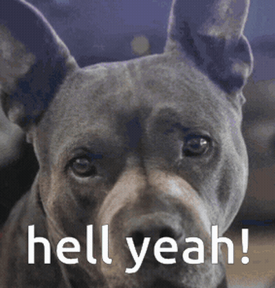 A Close Up Of A Dog With The Words Hell Yeah Written Above It GIF