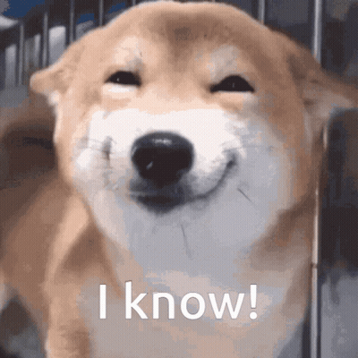 A Close Up Of A Dog With The Words I Know Written Below It GIF