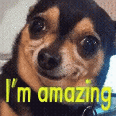 A Close Up Of A Dog With The Words I 'M Amazing On It GIF