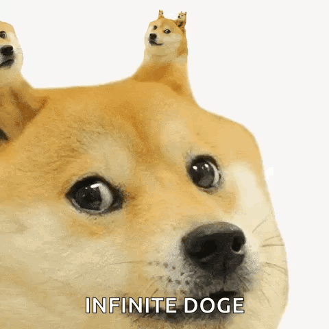 A Close Up Of A Dog With The Words Infinite Doge Written On The Bottom GIF