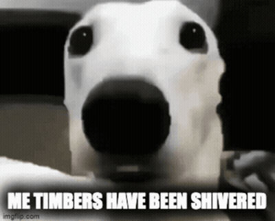 A Close Up Of A Dog With The Words Me Timbers Have Been Shivered Written Below It GIF