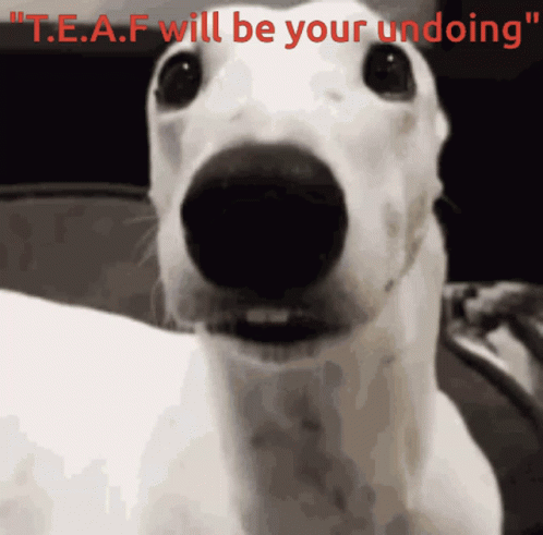 A Close Up Of A Dog With The Words " T.e.a.f Will Be Your Undoing " GIF