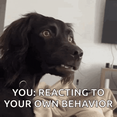 A Close Up Of A Dog With The Words You Reacting To Your Own Behavior Written On It GIF