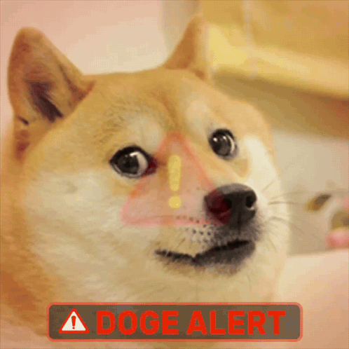 a close up of a doge with a doge alert sign
