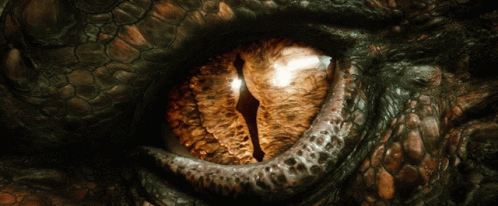 A Close Up Of A Dragon 'S Eye With A Light Shining Through GIF