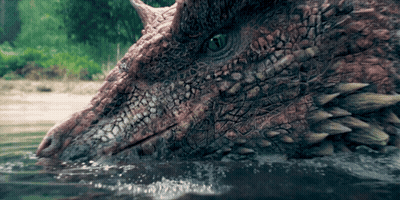 A Close Up Of A Dragon 'S Face Looking Out Of The Water GIF