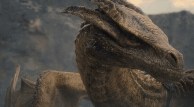A Close Up Of A Dragon 'S Face With A Blurred Background GIF