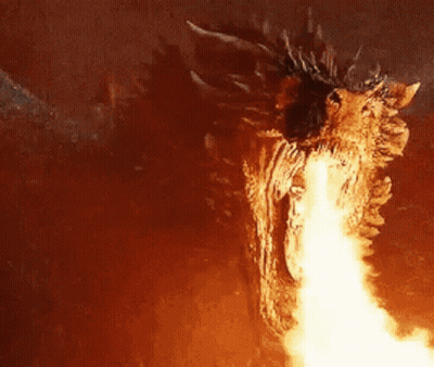 A Close Up Of A Dragon 'S Head With Flames Coming Out Of It 'S Mouth . GIF