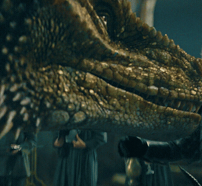 A Close Up Of A Dragon 'S Tail With A Person Standing Behind It GIF