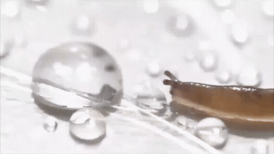 A Close Up Of A Drop Of Liquid On A Table GIF