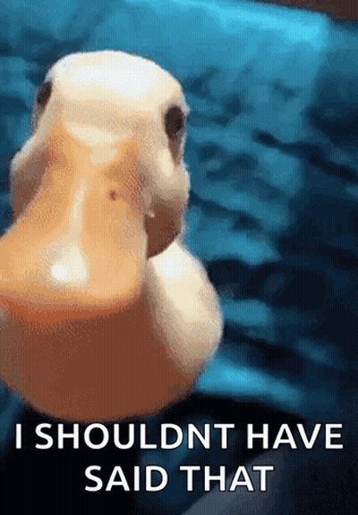 A Close Up Of A Duck With The Words " I Should Nt Have Said That " Written Below It GIF