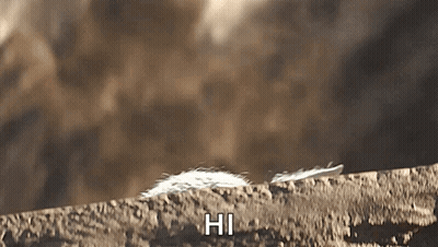 A Close Up Of A Feather With The Words Hi Written On It GIF