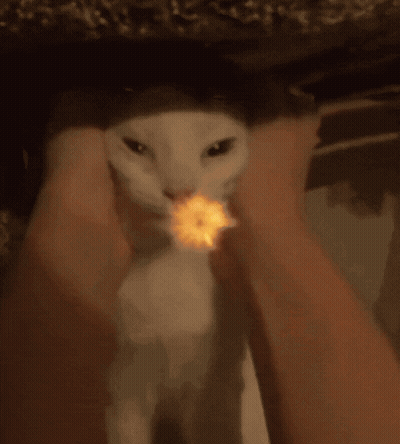 A Close Up Of A Fireball That Looks Like A Sphere GIF