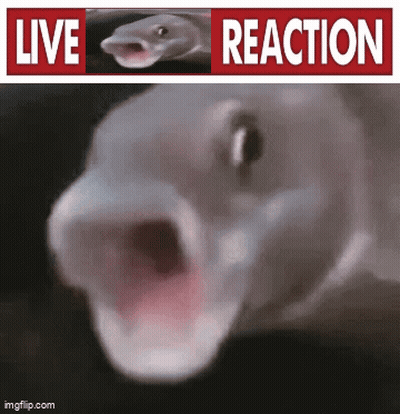 A Close Up Of A Fish With Its Mouth Open And A Live Reaction Sign Above It GIF