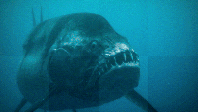 A Close Up Of A Fish With Sharp Teeth Swimming In The Ocean GIF