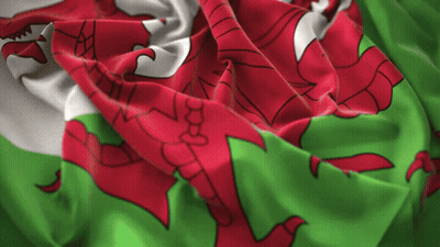 A Close Up Of A Flag With A Red Dragon On It GIF