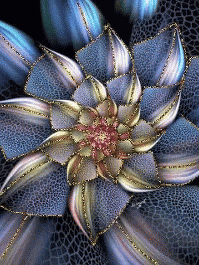 A Close Up Of A Flower With A Purple Center GIF