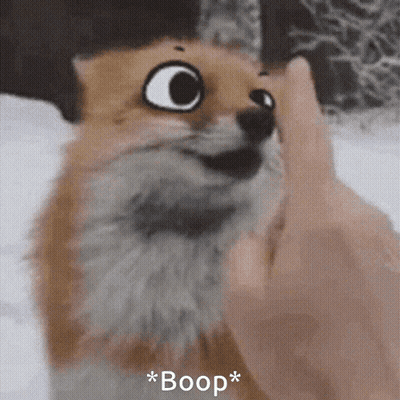 A Close Up Of A Fox Being Petted By A Person With The Word Boop Written Below It GIF