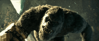 A Close Up Of A Furry Animal With A Glove That Says ' Nfl ' On It GIF