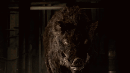 A Close Up Of A Furry Animal With A Large Mouth GIF