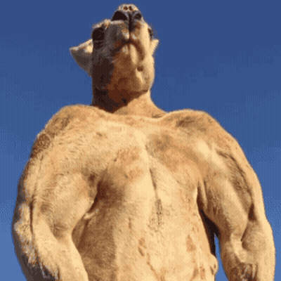A Close Up Of A Giraffe 'S Muscles With A Blue Sky In The Background GIF