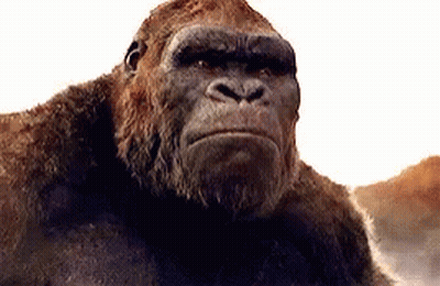 A Close Up Of A Gorilla Looking At The Camera GIF