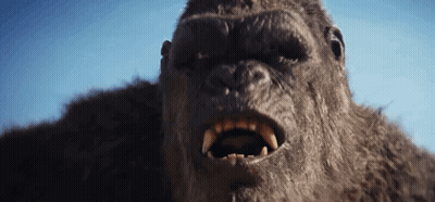 A Close Up Of A Gorilla 'S Face With A Blue Sky In The Background GIF