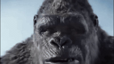 A Close Up Of A Gorilla 'S Face With Its Mouth Open GIF