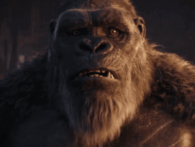 A Close Up Of A Gorilla 'S Face With Its Mouth Wide Open GIF